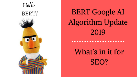 What is the purpose of Bert?