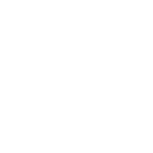 The San Diego-based SEO Expert Company offers SEO Scientific Audits