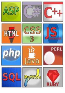 7 best programming languages ​​to learn for SEO