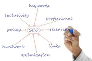 Looking for a search engine optimization expert?
